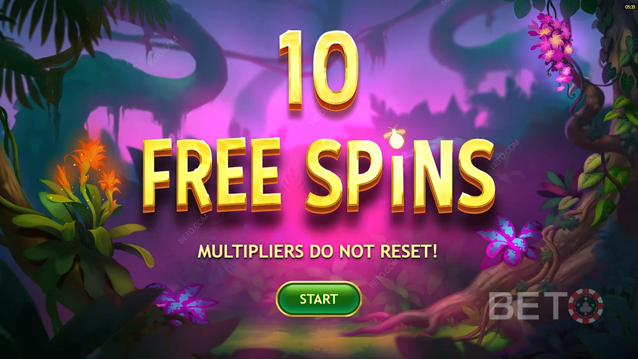 Get 10 Free Spins after landing 3 Scatters 