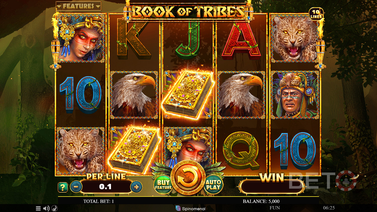 3 Scatter Wilds will award you Free Spins in the Book of Tribes slot