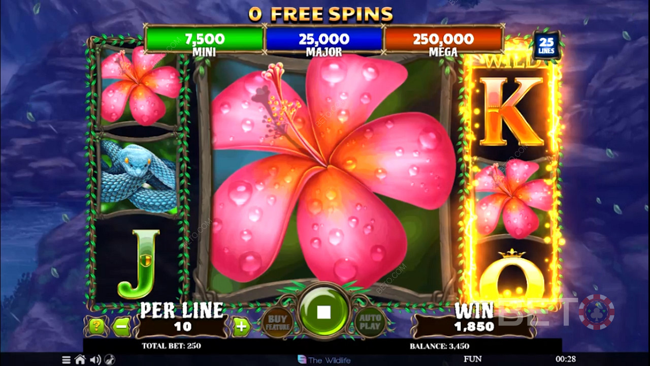Unlock Free Spins and enjoy exclusive perks like extra re-spins and Expanding symbols