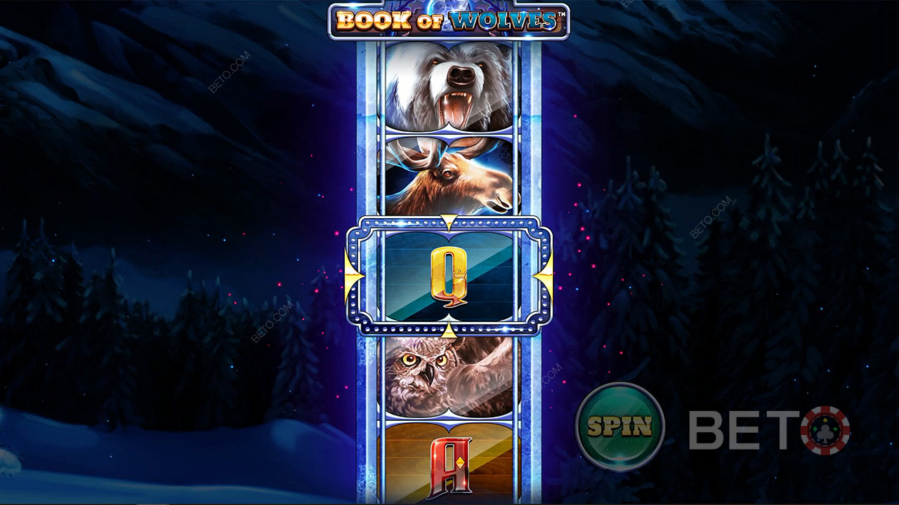 Get access to Expanding symbols and other fancy bonuses in the Free Spins mode
