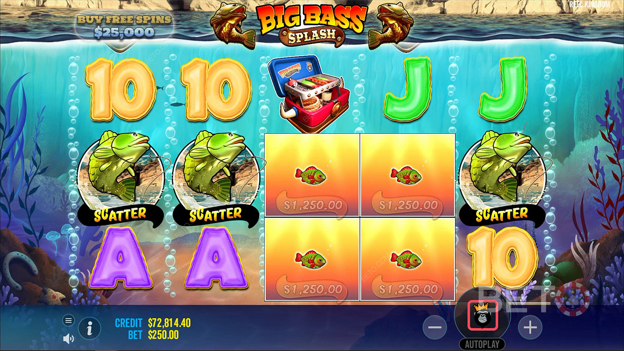 3 or more Scatters will trigger the Free Spins