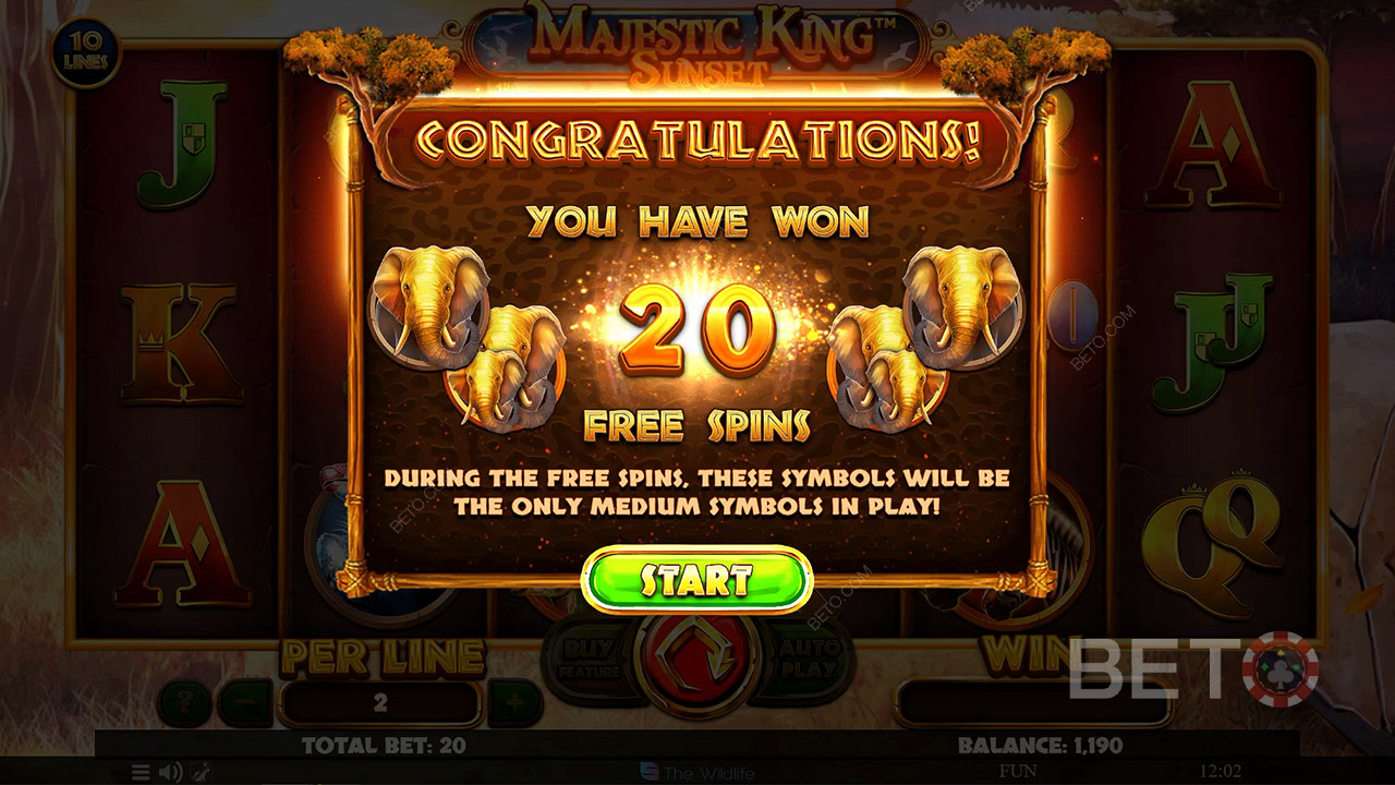 Unlock the Free Spins mode to obtain up to 40 bonus spins and boost your winning chances