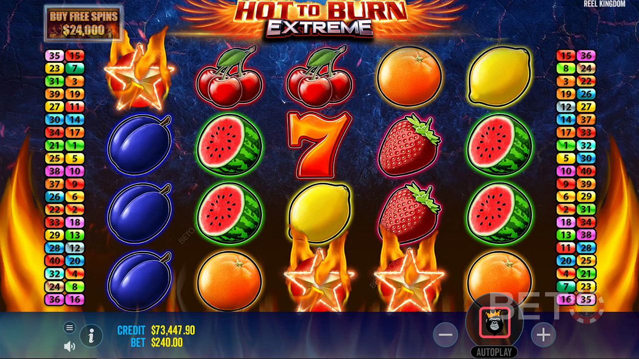 This slot game uses an RTP rate of 96.65% and features medium variance