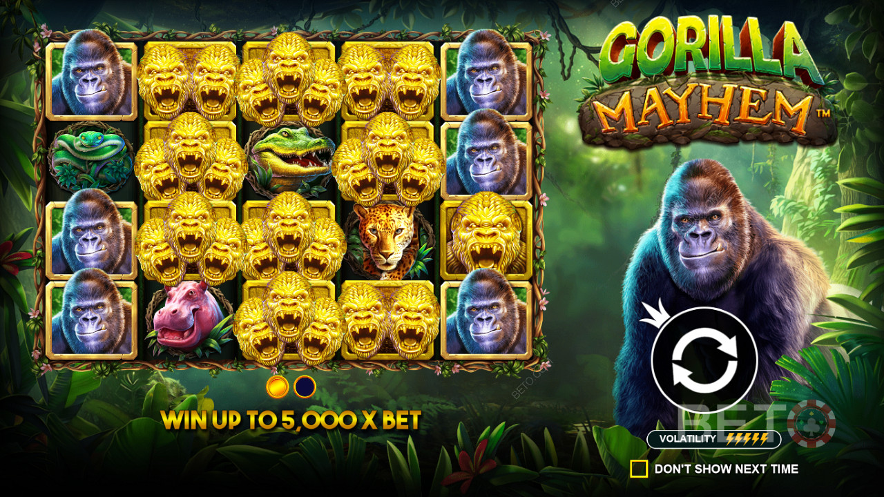 The Golden Gorilla symbols play an important role in the Gorilla Mayhem slot
