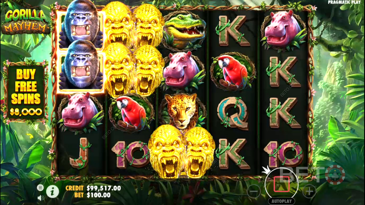 The Golden Gorilla symbols with Multipliers will help create bigger wins