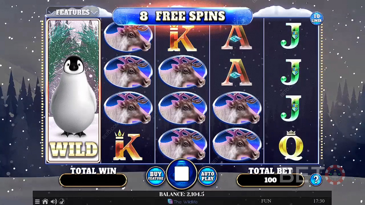 Wild Penguin Free Play