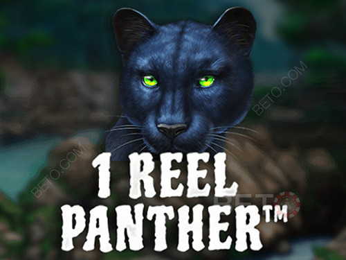 1 Reel Panther