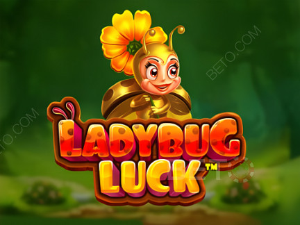 Ladybug Luck  Demo