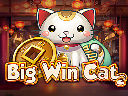 Big Win Cat Demo