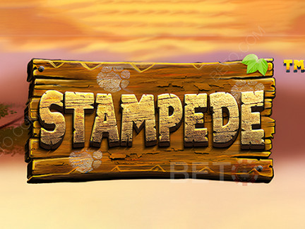 Stampede (Betsoft)  Demo