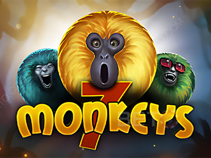 7 Monkeys  Demo