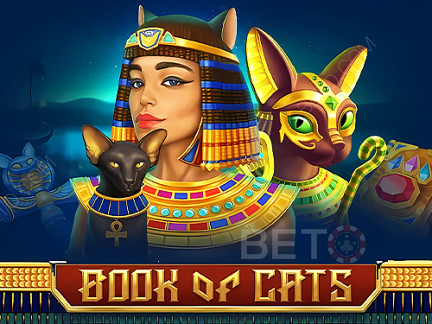 Book Of Cats Demo