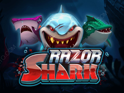 Razor Shark Demo