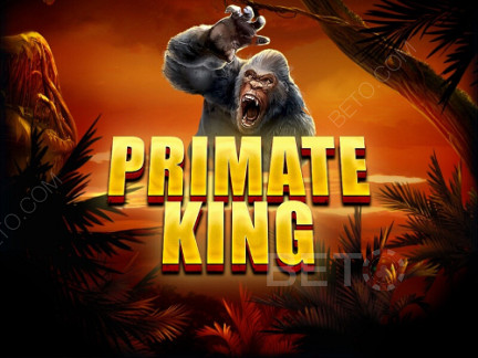 Primate King Demo
