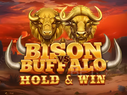 Bison vs Buffalo Demo