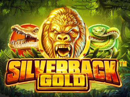 Silverback Gold Demo