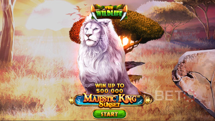 Majestic King - Sunset Slot - Free Play and Reviews (2023)
