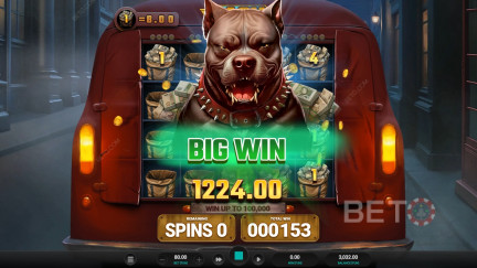 Cash in Transit Free Play in Demo Mode ✚ Slot Review (2026)