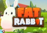 Fat Rabbit 