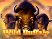 Wild Buffalo