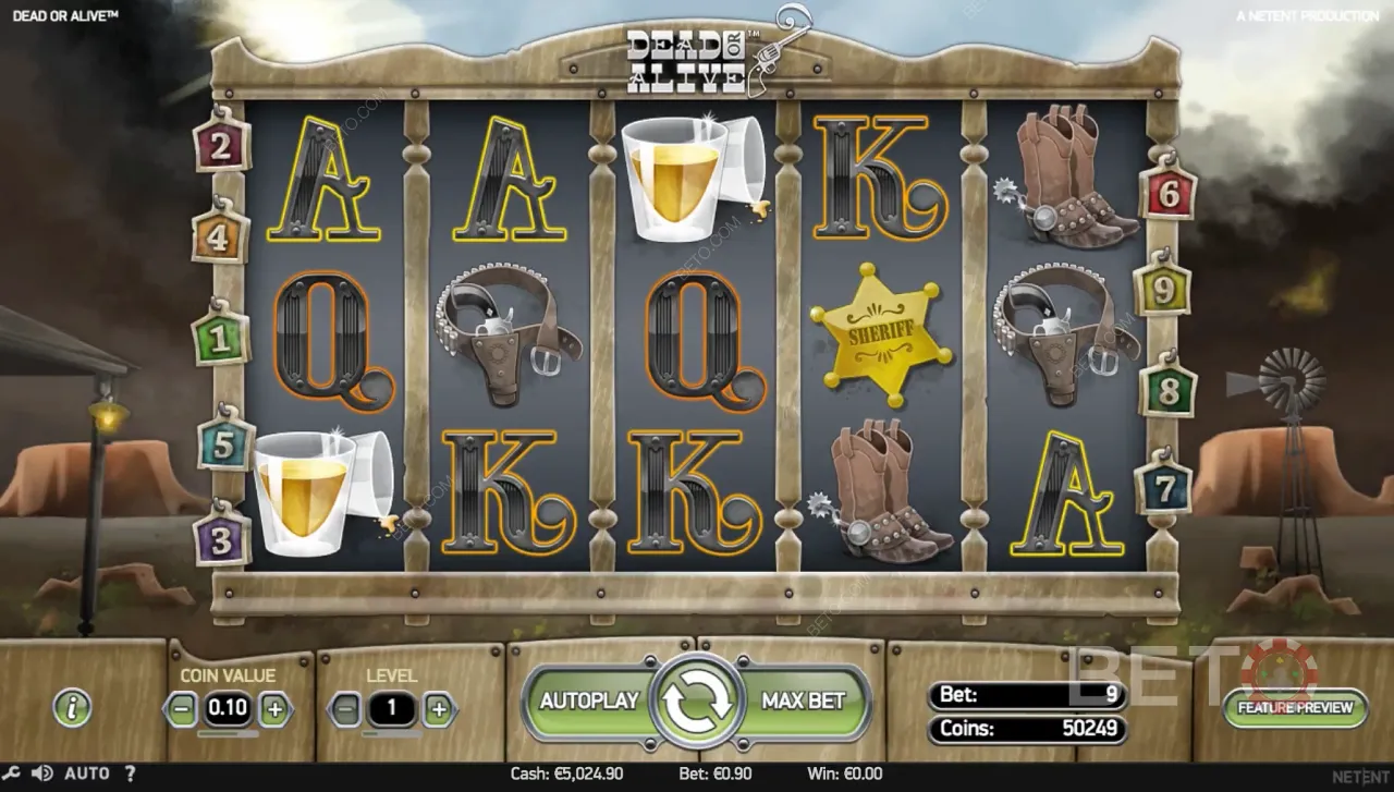 Gameplay of Dead or Alive Video Slot