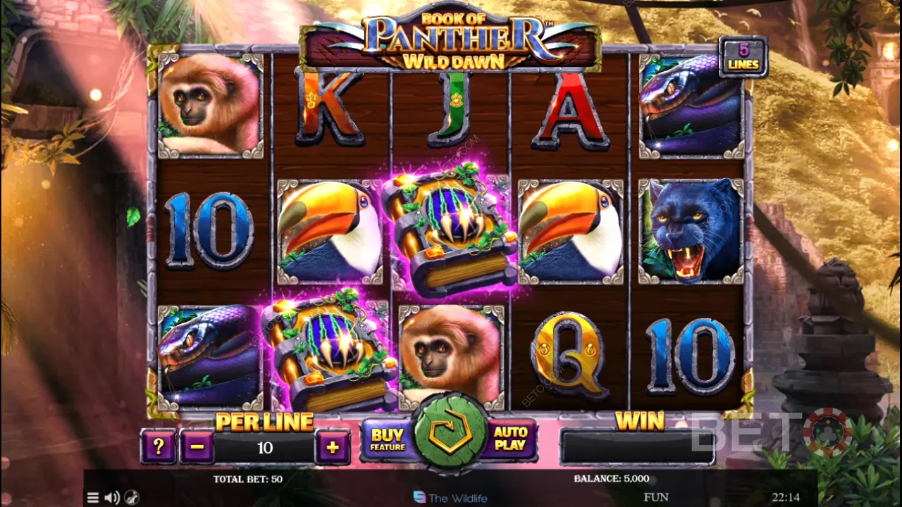 Gameplay of Book of Panther Wild Dawn video slot